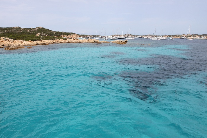 Plage Rosa - Ile de Budelli - 009